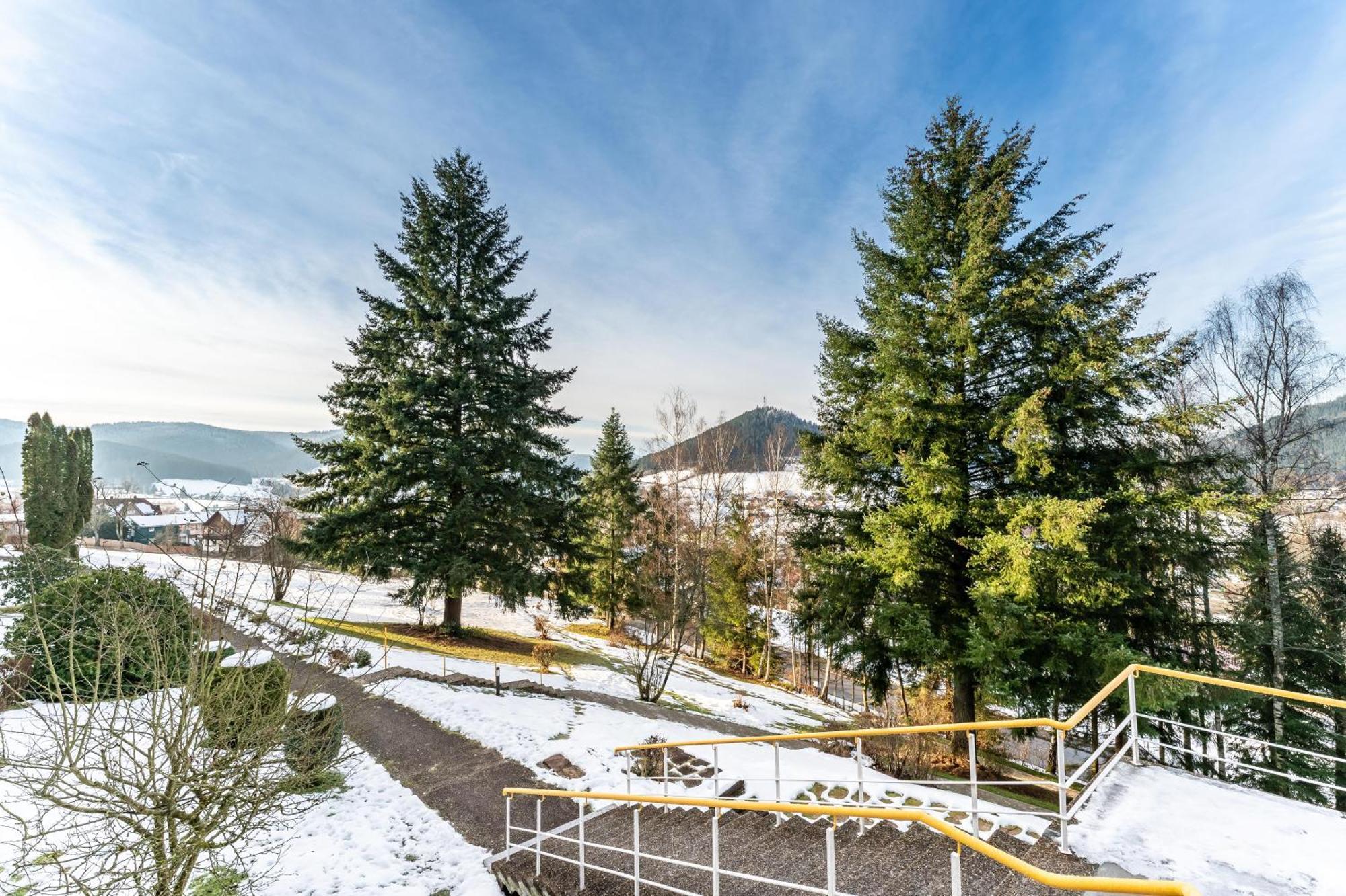 Appartement Juri5 In Baiersbronn Mit Pool Extérieur photo